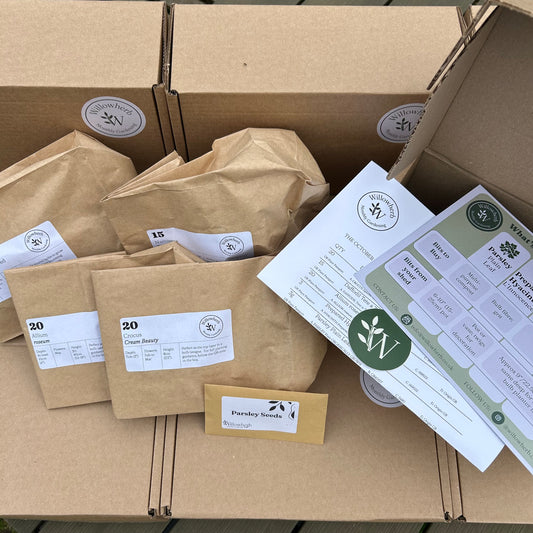 Willowherb Monthly Gardening Box - October