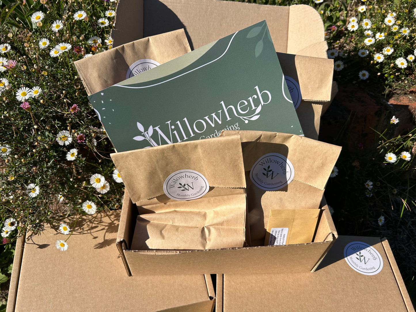 Early Autumn Planting Box - Spring Bulbs
