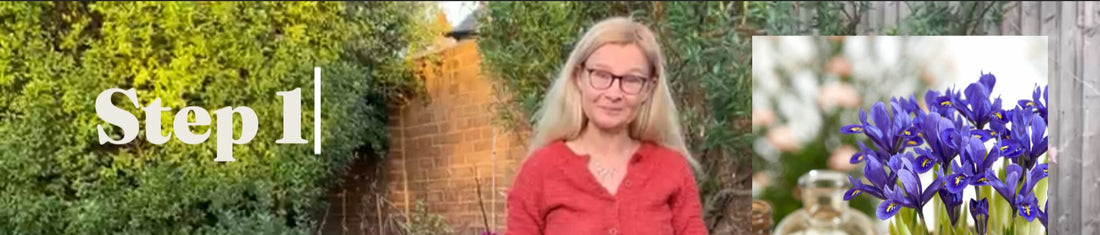 November Planting Guidance