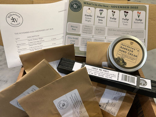 Willowherb November Gardening Box - The Gift Edit