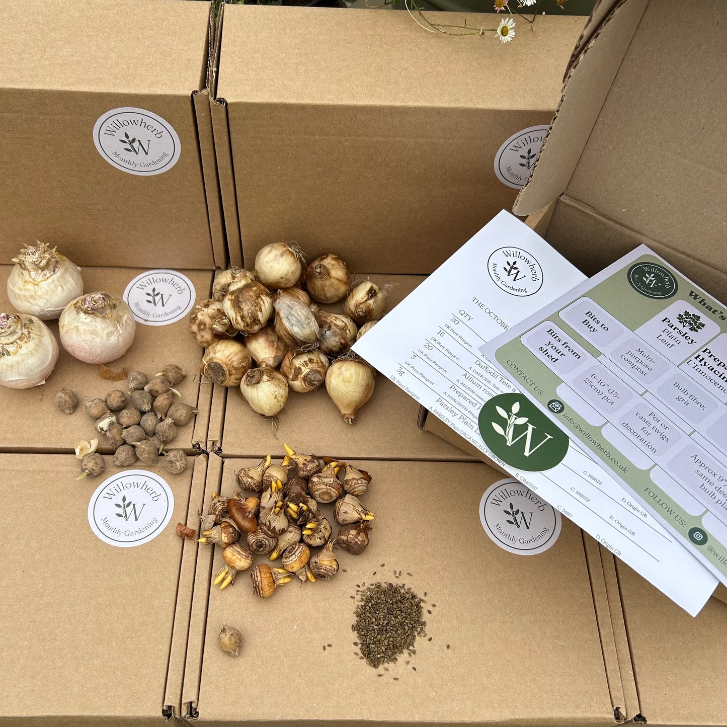 Willowherb Monthly Gardening Box - October