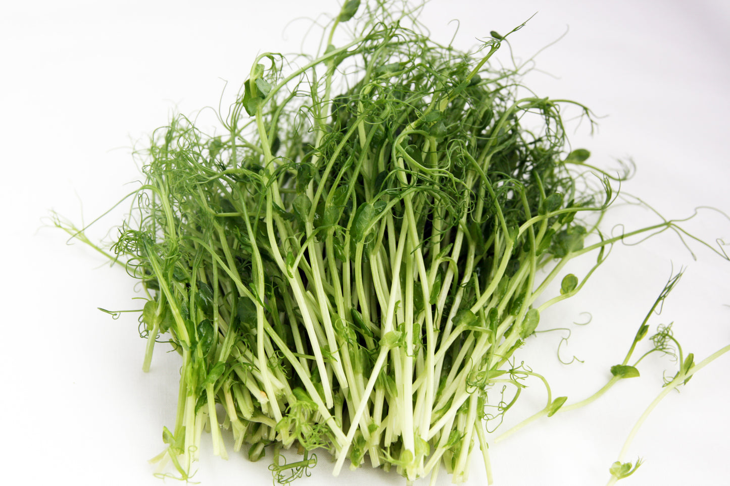 Willowherb December Gardening Box